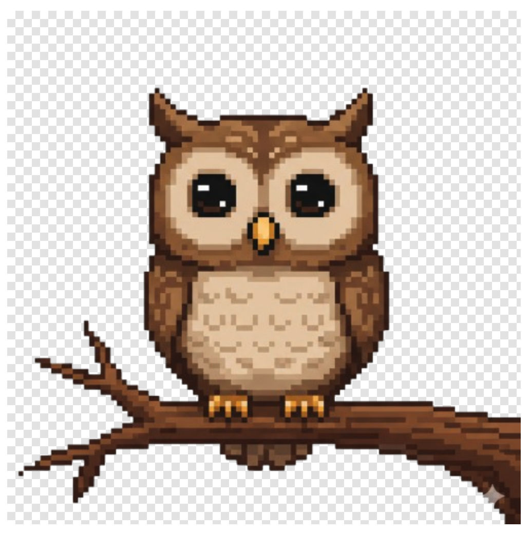 Playful cartoon owl guide
